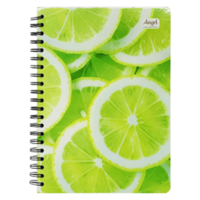 Cuaderno resorte 120h